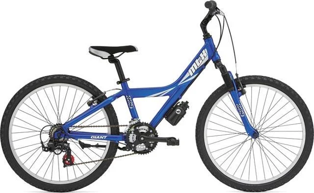 2008 Giant MTX 125