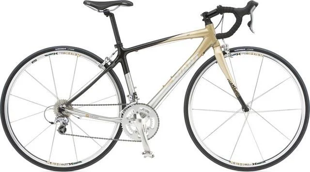 2008 Giant OCR A1 W