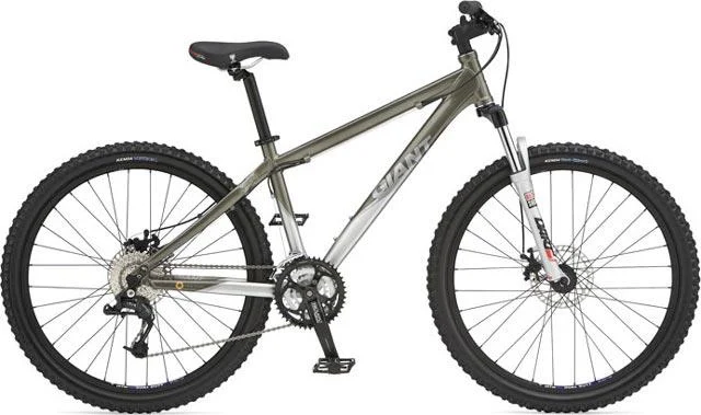 2008 Giant Rainier W