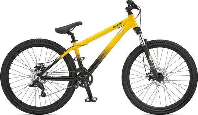 2008 Giant STP