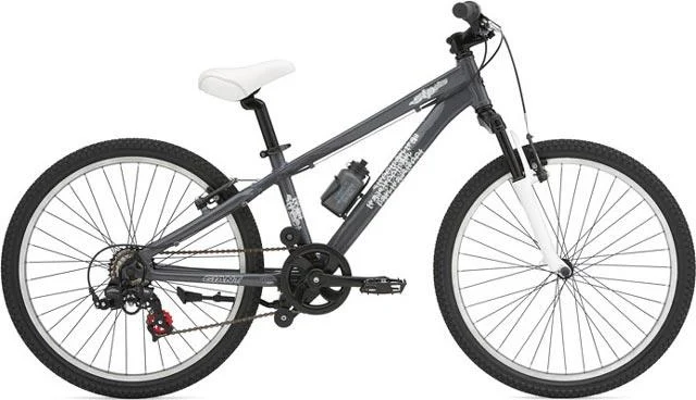 2008 Giant STP 225