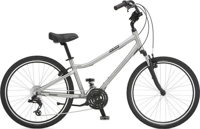 2008 Giant Suede DX