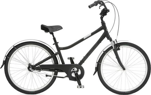2008 Giant Suede GX
