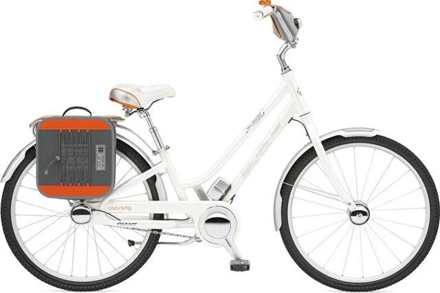 2008 Giant Suede Coasting DX W