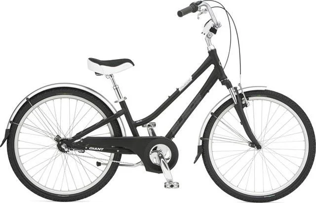 2008 Giant Suede GX W