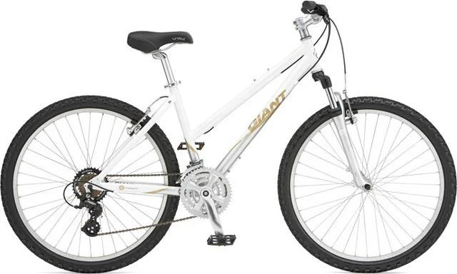 2008 Giant Boulder W