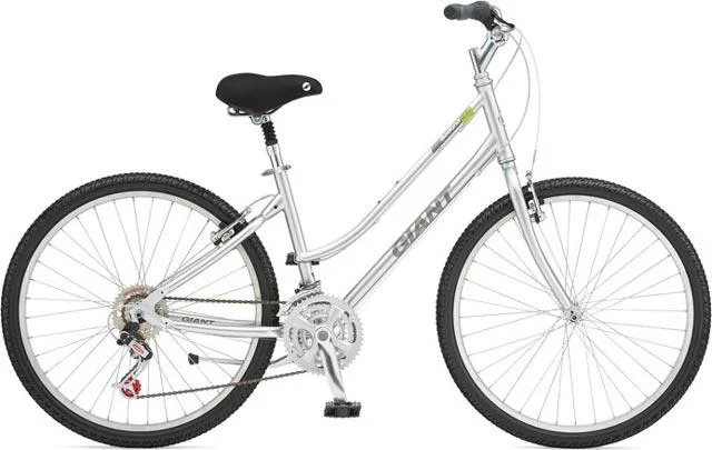 2008 Giant Sedona ST W