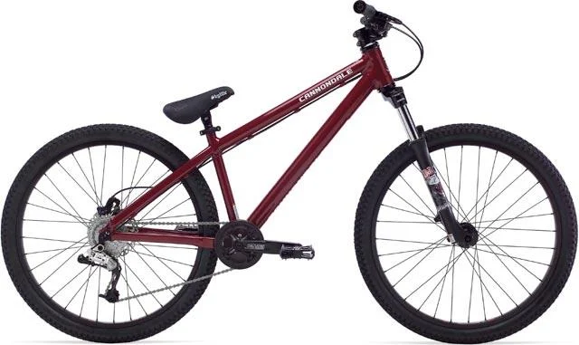2008 Cannondale Chase 1
