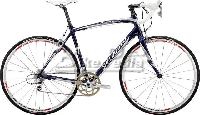 2008 Specialized Roubaix Expert Rival