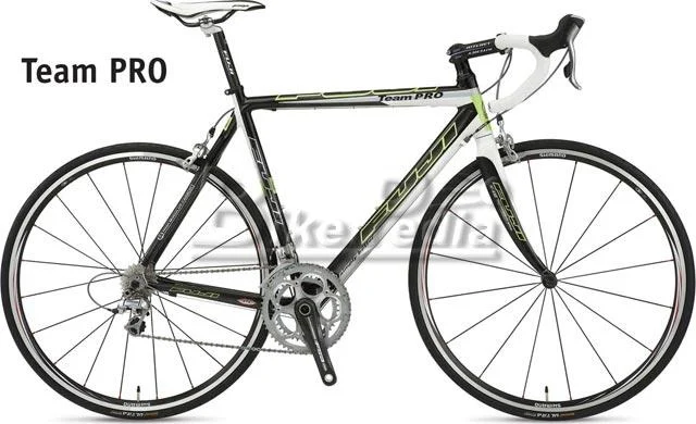2008 Fuji Team Pro