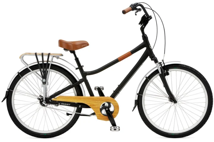 2009 Giant Suede GX