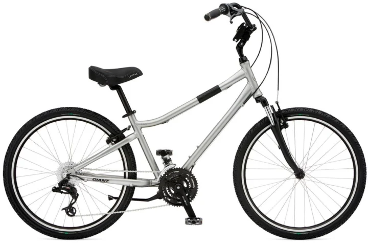 2009 Giant Suede DX