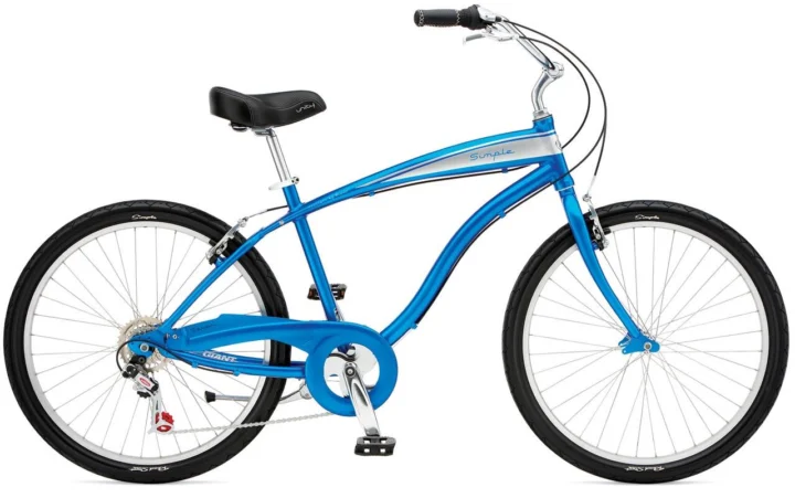 2009 Giant Simple Seven