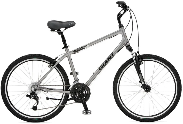 2009 Giant Sedona DX