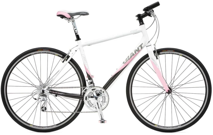 2009 Giant FCR 2 W