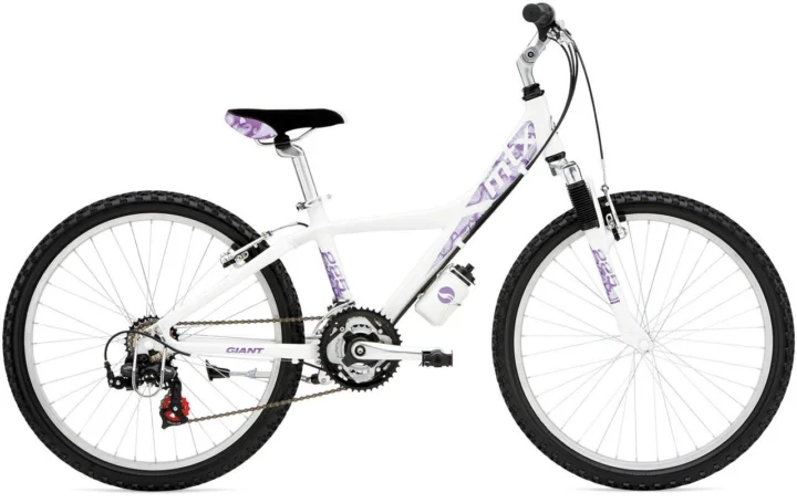 2009 Giant MTX 225 Girls