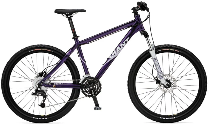 2009 Giant Arete