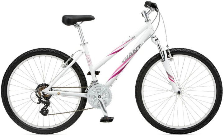 2009 Giant Boulder W