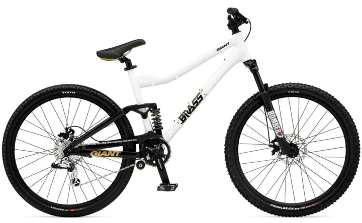 2009 Giant Brass SX
