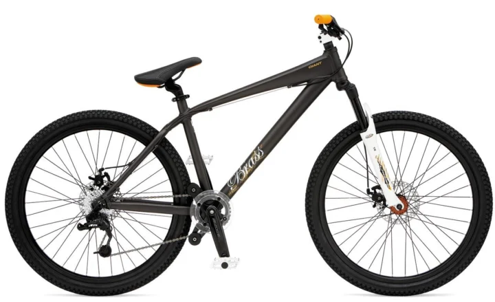2009 Giant Brass 2
