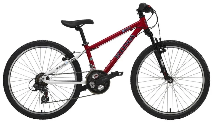 2009 Kona Hula