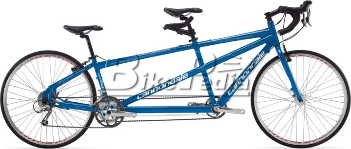 2009 Cannondale Road Tandem 3