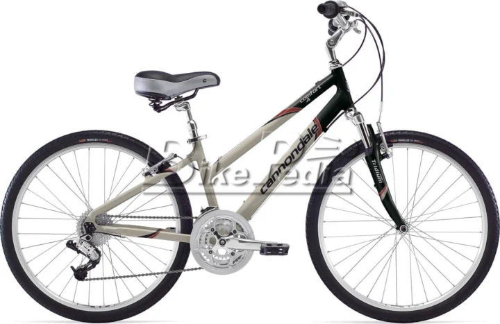 2009 Cannondale Comfort Feminine 4