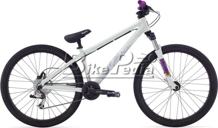 2009 Cannondale Chase 1
