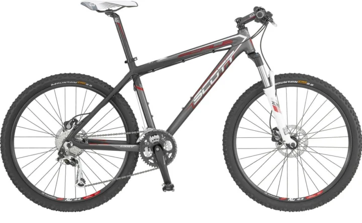 2009 Scott Scale 60