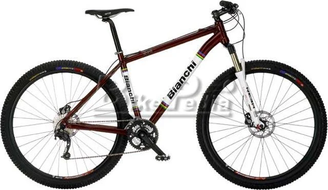 2009 Bianchi Sok 29er SLX/Deore