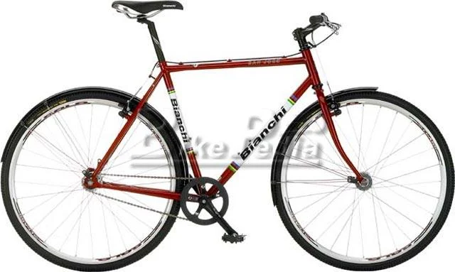 2009 Bianchi San Jose Steel Flat Bar