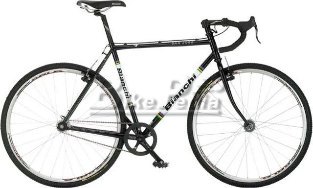 2009 Bianchi San Jose Steel