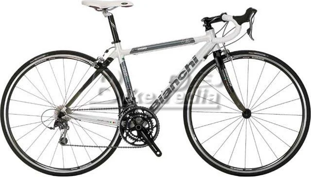 2009 Bianchi She 105