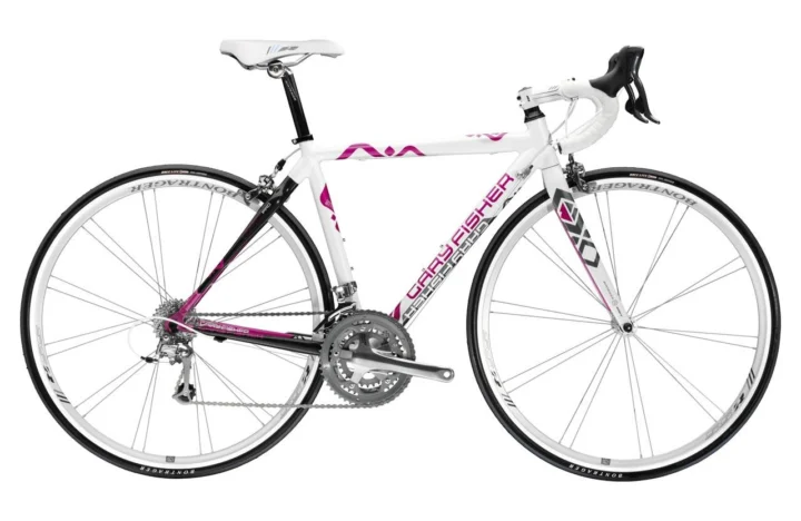 2009 Gary Fisher ARC Pro GS