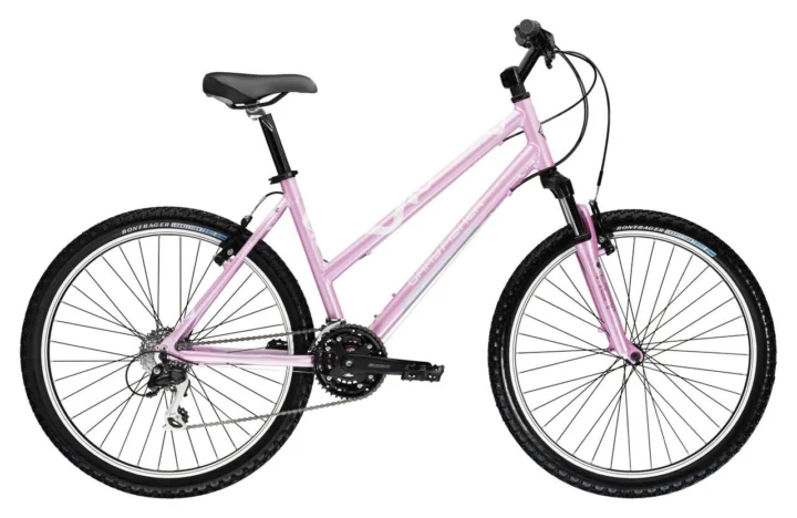 2009 Gary Fisher Advance Womens