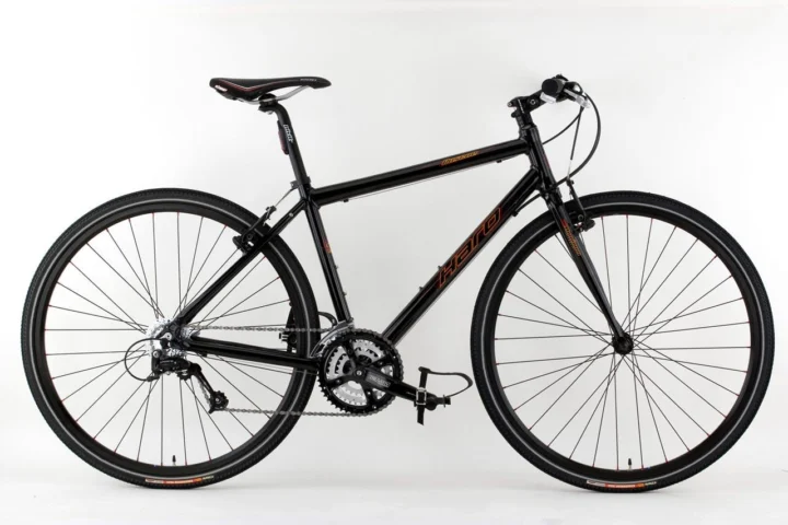 2009 Haro Roscoe
