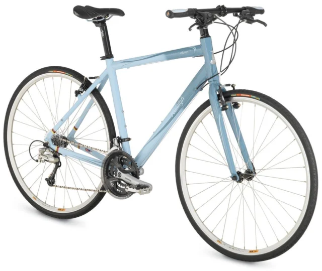 2009 Raleigh Alysa FT1