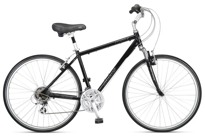 2009 Jamis Citizen 1.0