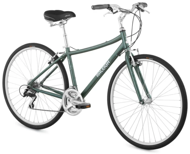 2009 Raleigh Detour 4.5