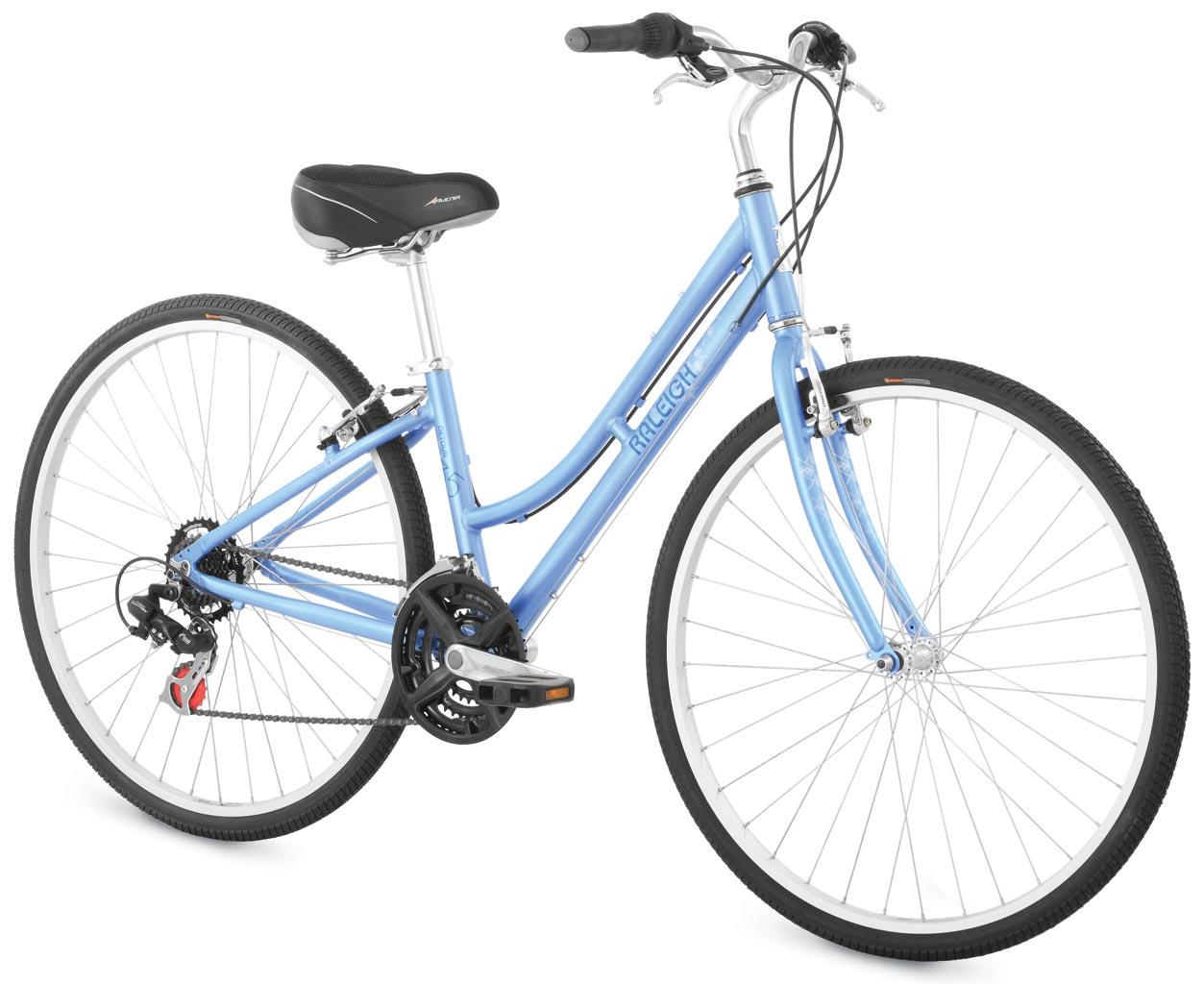 2009 Raleigh Detour 3.5 Woman's