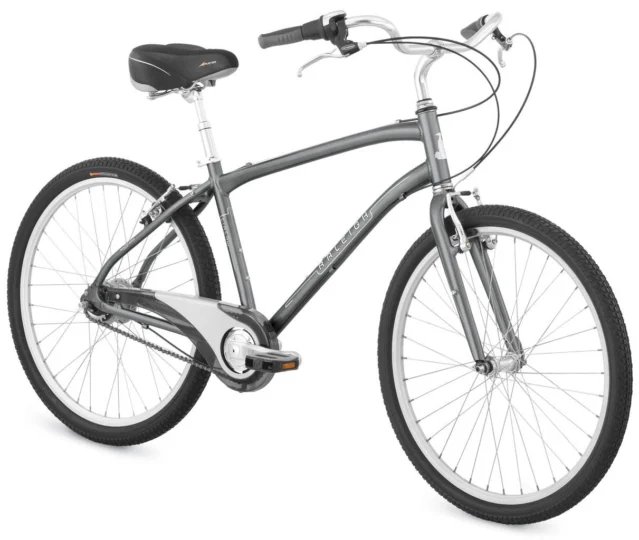 2009 Raleigh Circa 2.0