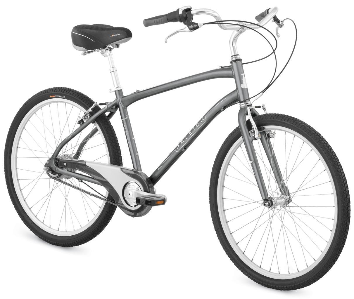 2009 Raleigh Circa 2.0