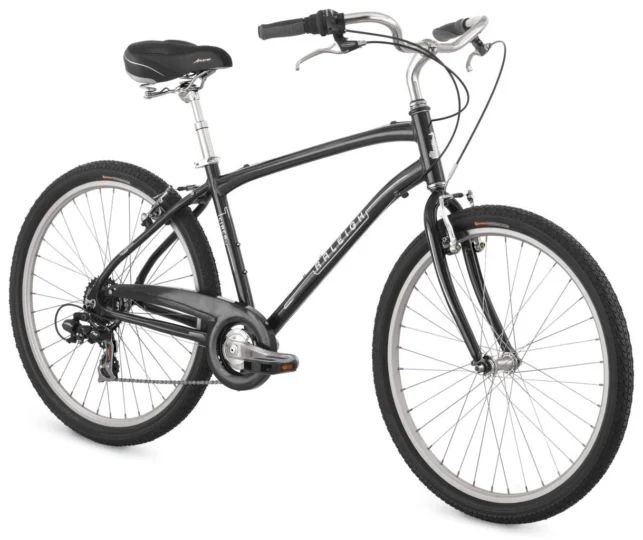 2009 Raleigh Circa 1.0