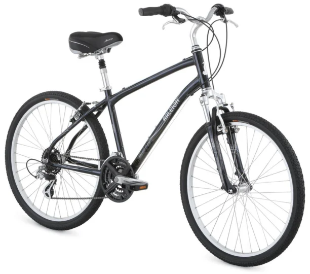 2009 Raleigh Venture