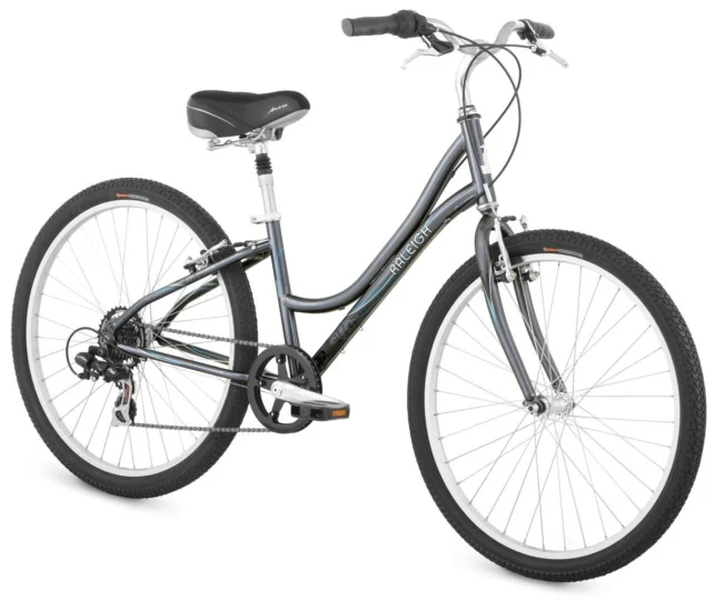 2009 Raleigh Venture Woman's
