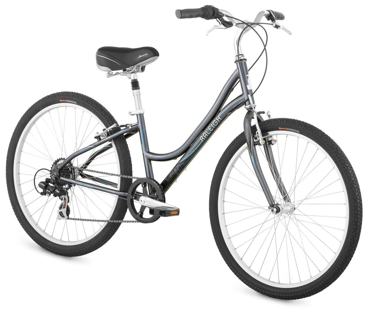 2009 Raleigh Venture Woman's