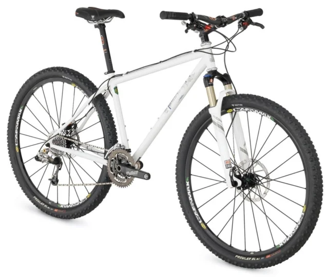 2009 Raleigh XXIX Pro