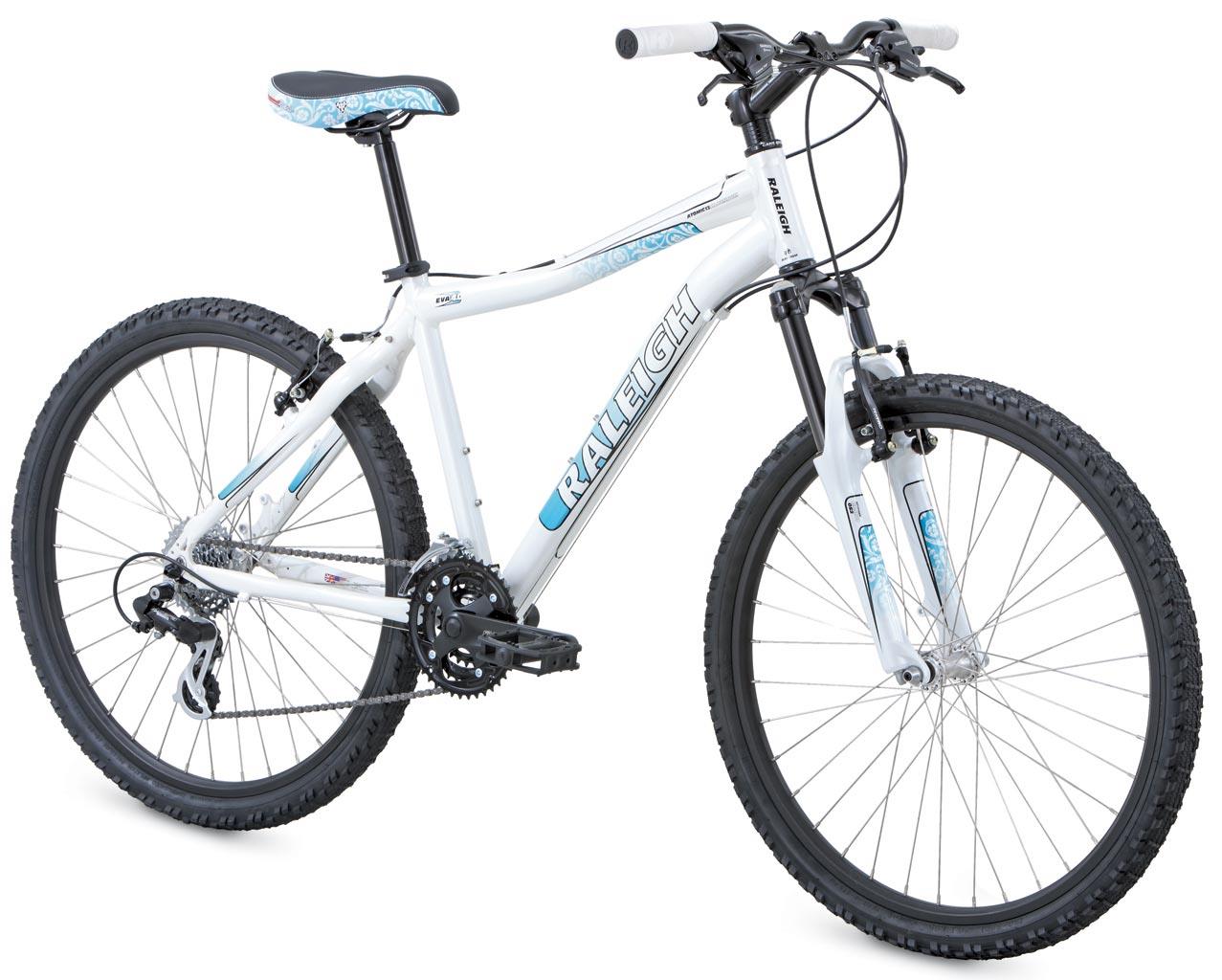 2009 Raleigh Eva 4.0