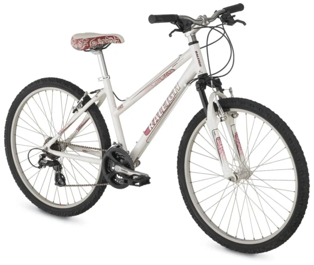 2009 Raleigh Eva 3.0