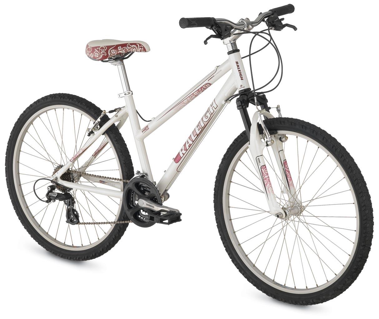 2009 Raleigh Eva 3.0